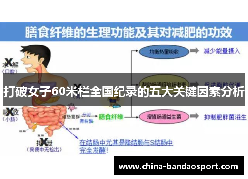 打破女子60米栏全国纪录的五大关键因素分析