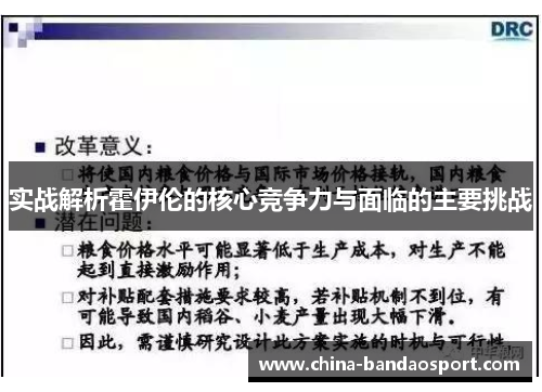 实战解析霍伊伦的核心竞争力与面临的主要挑战