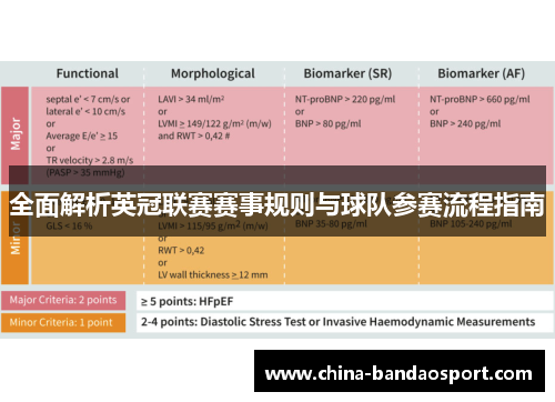 全面解析英冠联赛赛事规则与球队参赛流程指南 全面解析英冠联赛赛事规则与球队参赛流程指南