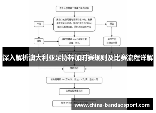 深入解析澳大利亚足协杯加时赛规则及比赛流程详解 深入解析澳大利亚足协杯加时赛规则及比赛流程详解